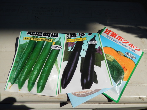 夏野菜の種まき.._b0137932_12214866.jpg