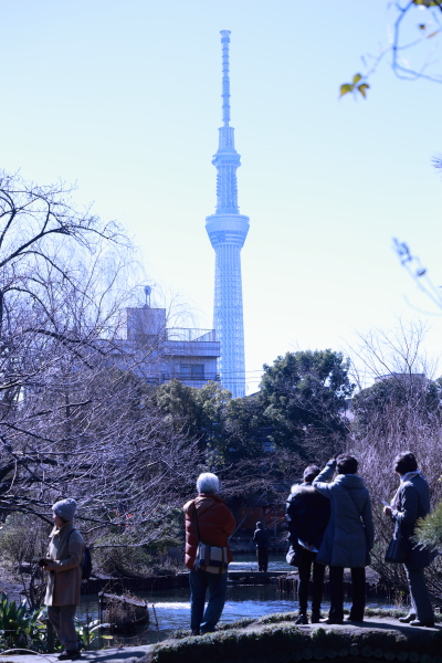 f0229832_116790.jpg