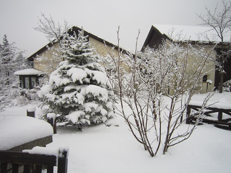 雪の六甲山(2)_b0177436_22214958.jpg
