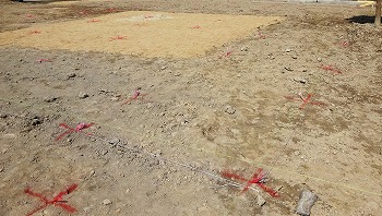 c0047339_2105890.jpg