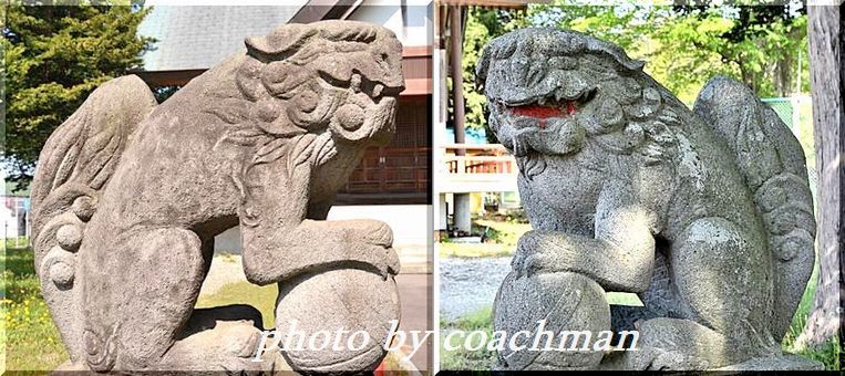 「稲荷神社・川濯神社」狛犬(北斗市市渡)　_a0315942_22172710.jpg