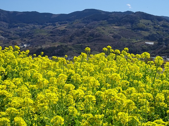 b0299042_12563166.jpg