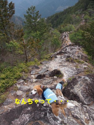 c0119142_20515.jpg