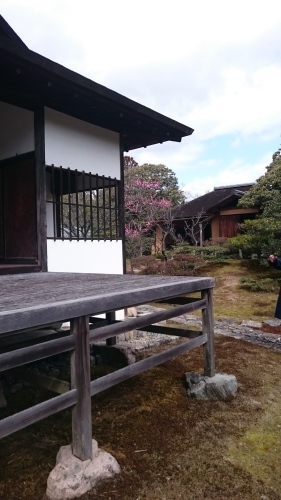 d0038545_20352905.jpg