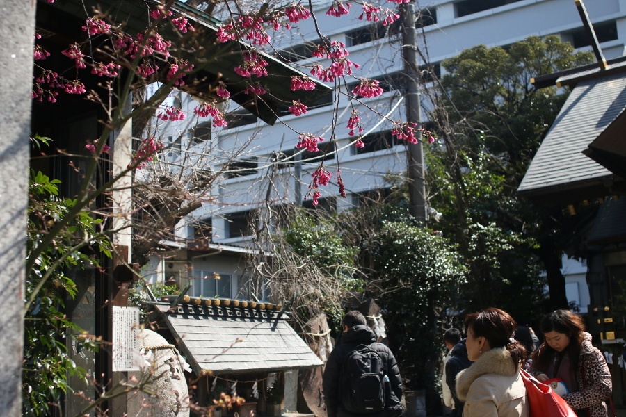 築地へ仕事で行ってきました♪出張編_c0162653_15433839.jpg