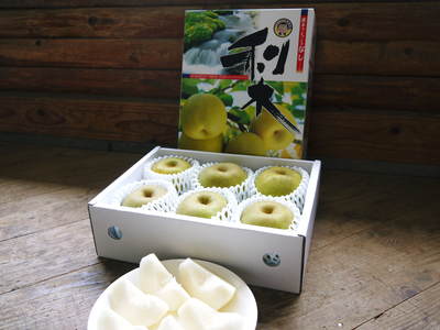 熊本梨 本藤果樹園 つぼみの膨らみ!まもなく梨の花の開花です!!_a0254656_21515185.jpg