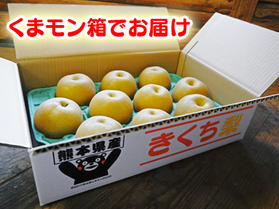 熊本梨 本藤果樹園 つぼみの膨らみ!まもなく梨の花の開花です!!_a0254656_22435892.jpg