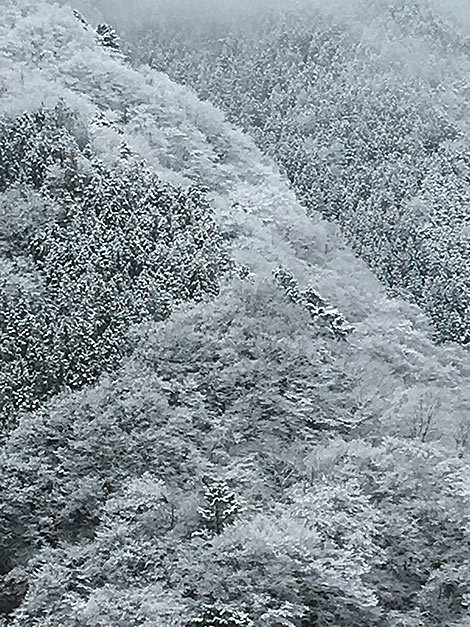 三峯神社参詣　　－その４－_b0031558_23065634.jpg