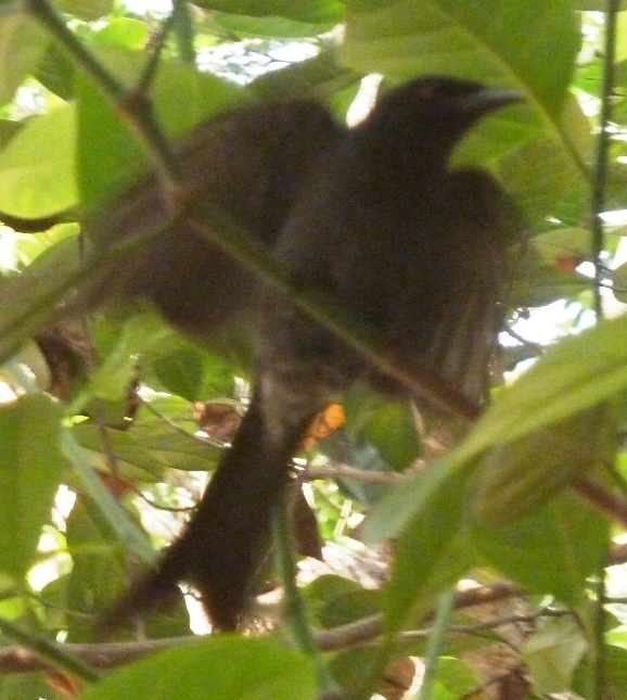 b0336962_02525516.jpg