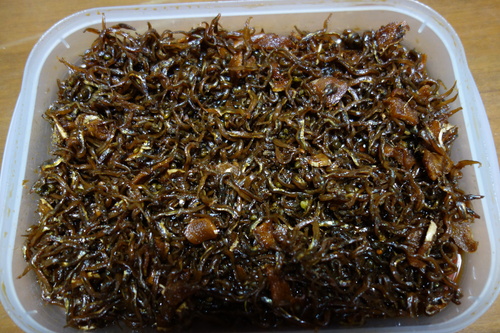 The Spring Foods Has Come 春の食べ物 到来 Diary Of つやつや The Spring Foods Has Come 春の食べ物 到来 Diary Of つやつや
