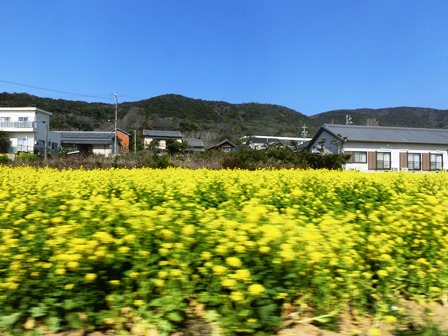 c0167785_2375896.jpg