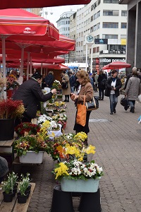 f0226293_7452558.jpg