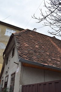 f0226293_74959.jpg