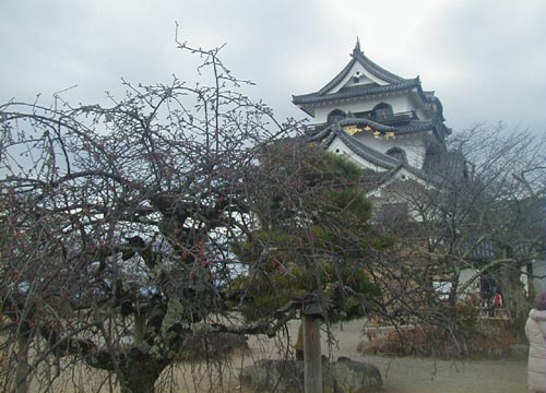 ●彦根城にて、その３_d0053294_1482617.jpg