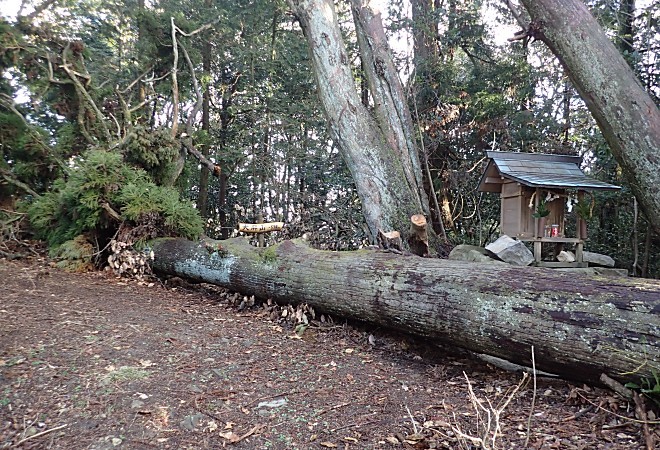 大麻山（５３８M）～藍染山（４１４M)～鉢伏山（４３９M）～大山（６９１M)～天井（６２６Ｍ）～旧・鵜峠～鵜の田尾トンネル_a0339396_21172197.jpg