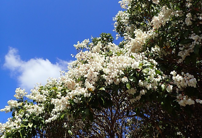 a0339396_21200370.jpg