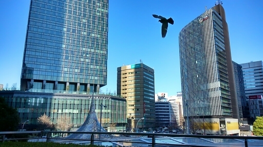 d0306603_21590671.jpg