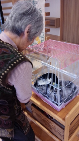 動物飼育始まりました。_f0299108_06002312.jpg