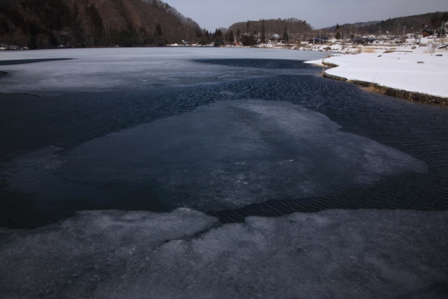 e0242721_92428.jpg