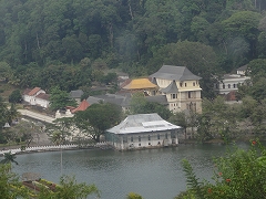 c0147935_10542826.jpg