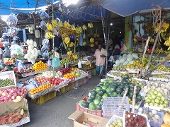 c0147935_1174010.jpg