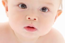 五体満足な赤ちゃんを産むために必要な葉酸 人間の身体について