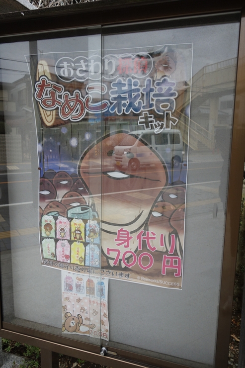 小江戸 川越へ その1~成田山川越別院でリラックマお守りを購入_a0287336_2311340.jpg