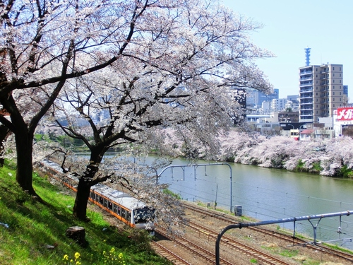 a0277742_21431974.jpg