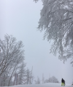 f0160353_0441168.png