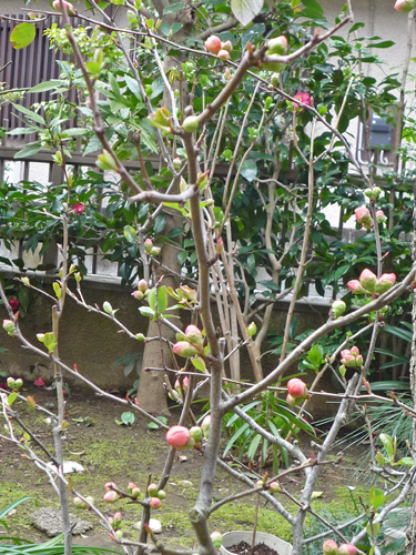 b0045357_9223225.jpg