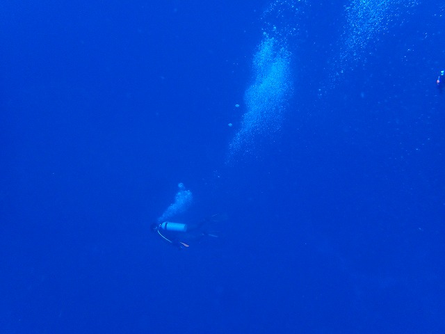 3月16日 風がくるくる_d0113459_2111155.jpg