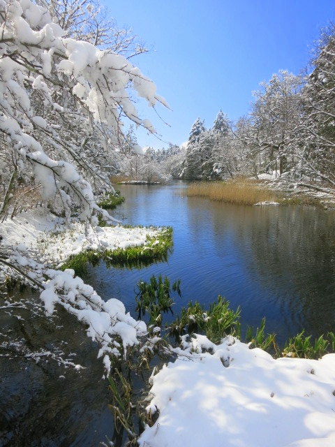 f0236260_14474378.jpg