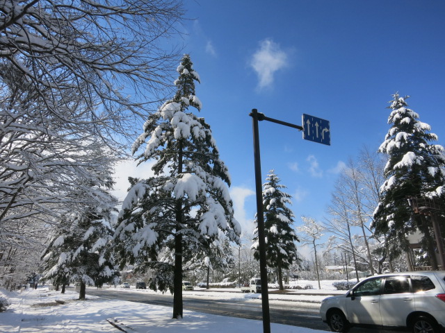f0236260_1449873.jpg