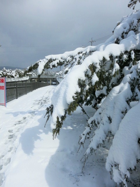 f0236260_14501064.jpg