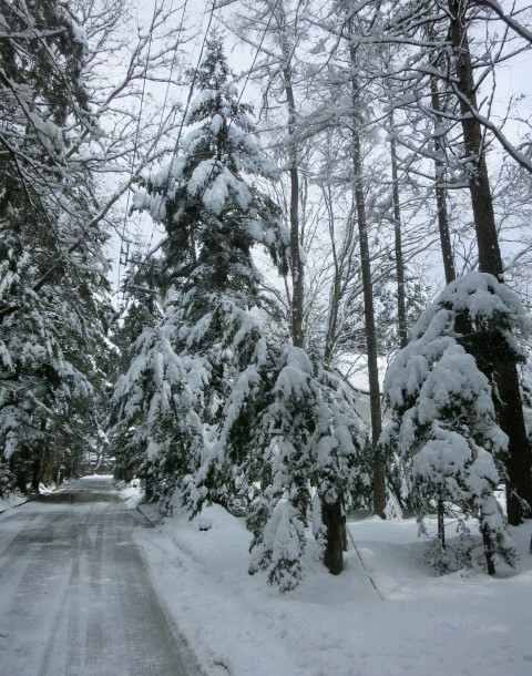 f0236260_14541987.jpg