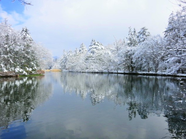 f0236260_15302431.jpg