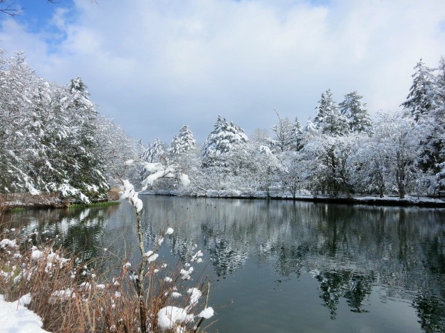 f0236260_15382286.jpg