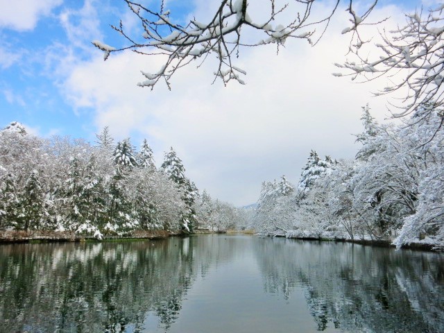 f0236260_15432191.jpg