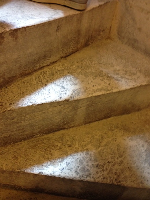 シエナのドゥオモの屋根裏へ(前編)_a0136671_0484458.jpg