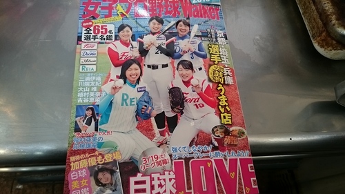 「女子プロ野球Walker」にモンマスティー出たよ!_a0075684_14305081.jpg