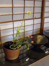 佐古さんの木の器に花を添えました。_a0088892_15273237.jpg