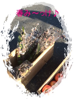 おめでとう＆おめでとう:*:♪・゜\'☆..._b0124693_2014715.jpg