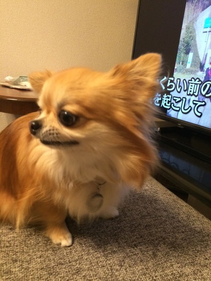 f0185804_17071625.jpeg