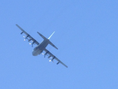 e0352409_17393325.jpg