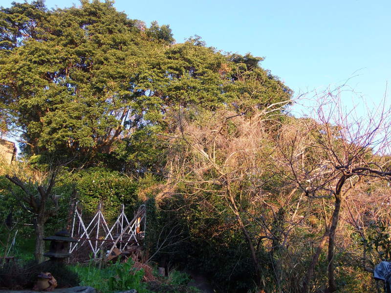 a0125419_07272023.jpg