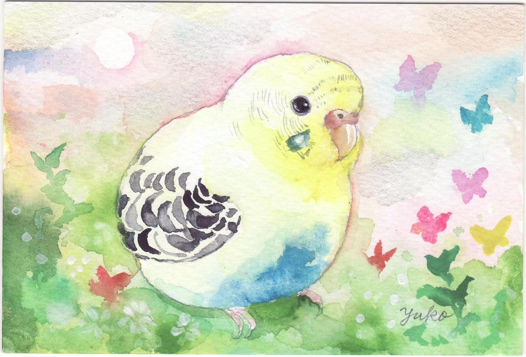 セキセイインコちゃんの水彩画 小鳥の羊毛フェルト絵 アトリエcaraway キャラウェイ