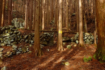 土呂久登山口から古祖母~障子岳_f0193521_4231417.jpg