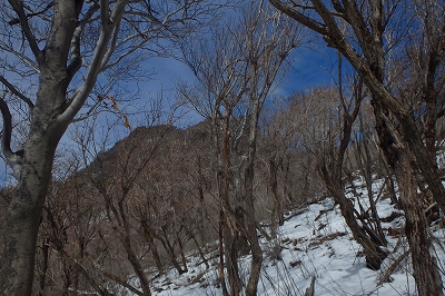 土呂久登山口から古祖母~障子岳_f0193521_9244240.jpg