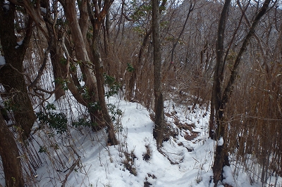 土呂久登山口から古祖母~障子岳_f0193521_9304935.jpg