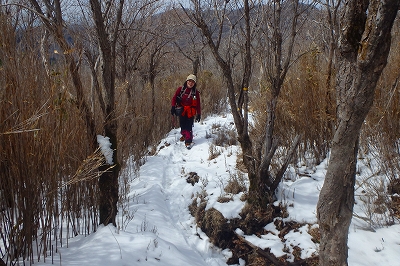 土呂久登山口から古祖母~障子岳_f0193521_933225.jpg